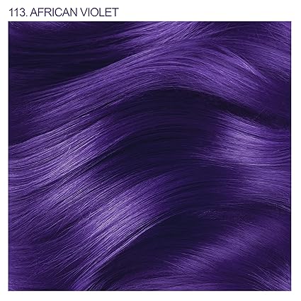 Adore Semi-Permanent African Violet 113 image 1