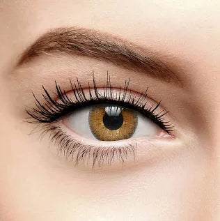 HONEY CONTACTS