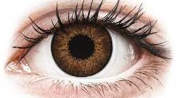 BROWN CONTACTS image 0